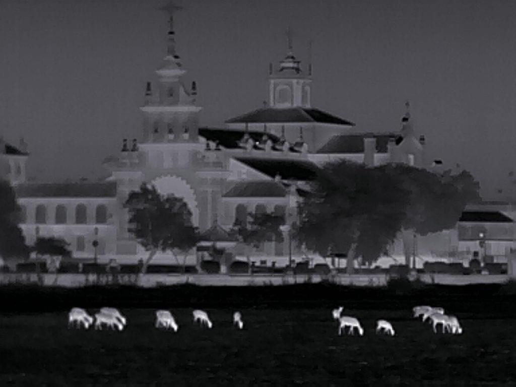 Casa Syanoa, Playas De Donana